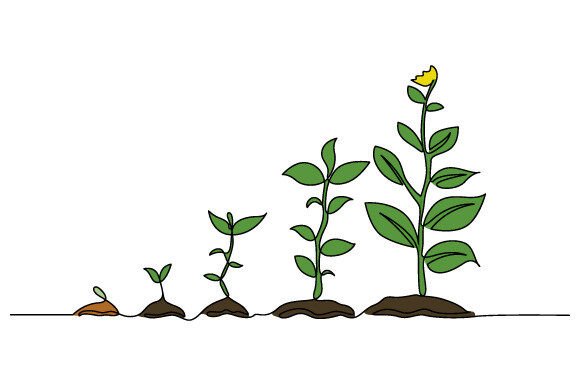Download One Line Drawing Infographic Tree Vector - Infograph Collection